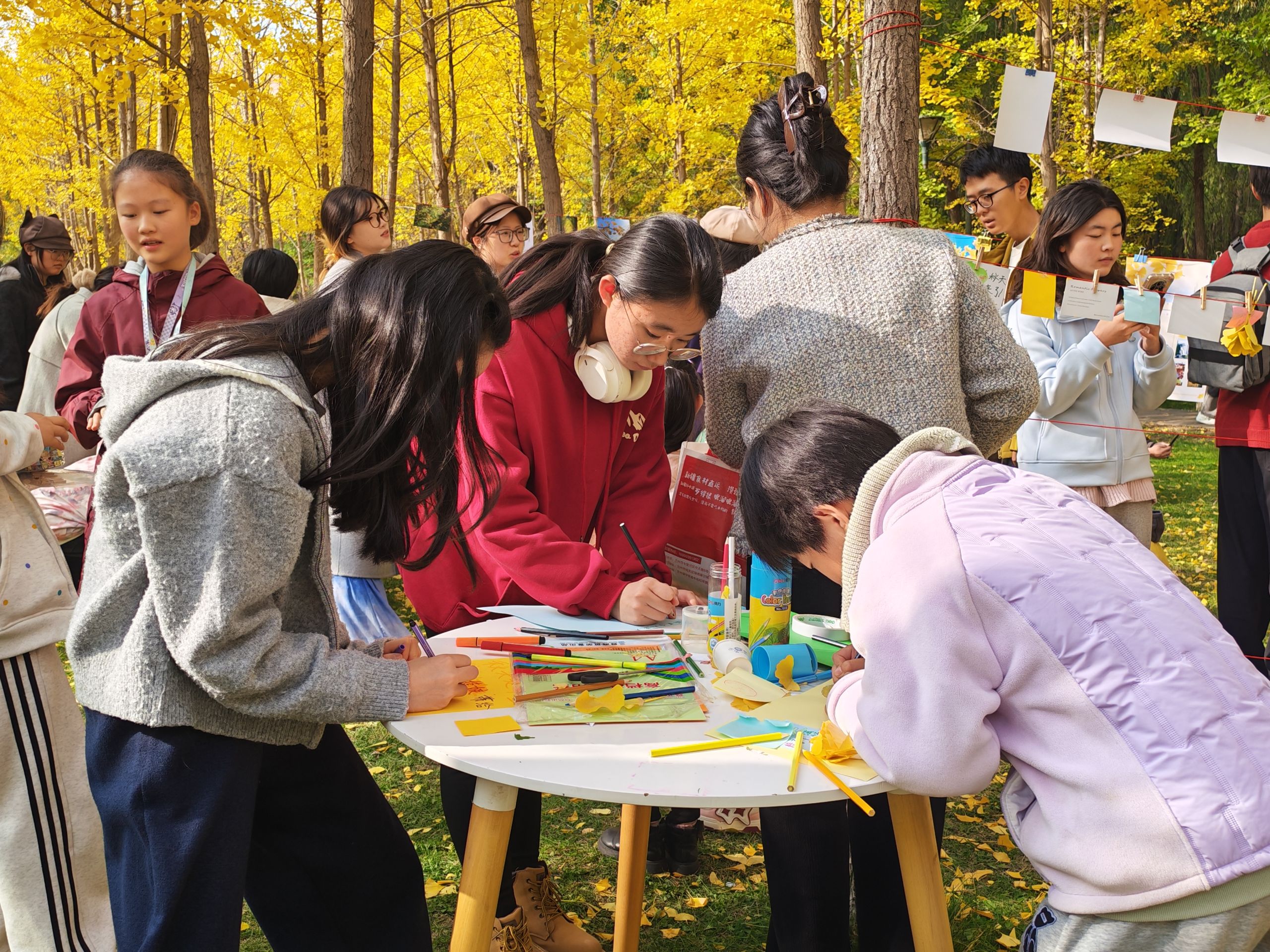 经济管理学院举办银杏主题创意文化展